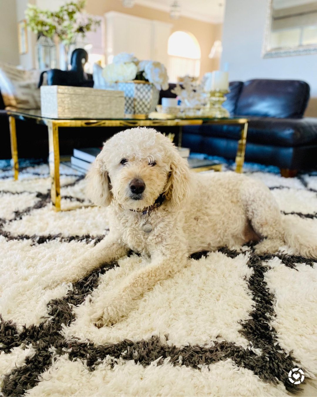 How to clean your shag rug